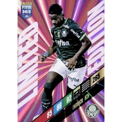 Endrick Limited Edition Palmeiras