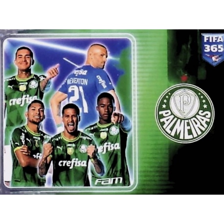 Club Identity Palmeiras 36