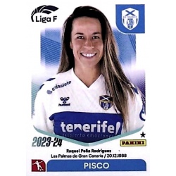 Pisco Costa Adeje Tenerife 91