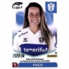 Offer Online Pisco Costa Adeje Tenerife Stickers Liga Women's 23-24