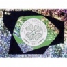 Venta Cromo Club Logo Celtic FC UEFA Champions League Sticker Collection 2023/24