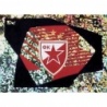 Buy Sticker Club Logo FK Estrella Roja UEFA Champions League Stickers 23/24