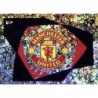 Compra Online Club Logo Manchester United UEFA Champions League Stickers 23/24
