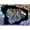 Sale Online Club Logo Newcastle United UEFA Champions League Stickers 23/24
