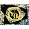 Cromos de Fútbol Club Logo BSC Young Boys Topps Champions 23 24 Stickers