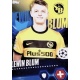 Lewin Blum BSC Young Boys 527