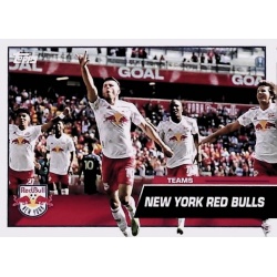 Team Card New York Red Bulls 22