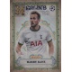 Harry Kane Merlin's Masters MM-15