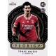 Tomas Araujo SL Benfica Prodigy
