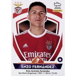 Enzo Fernández Benfica 49