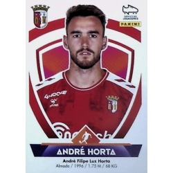 André Horta Braga 87