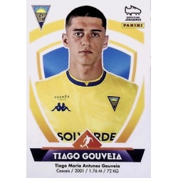 Tiago Gouveia Estoril 147