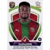 Compra Online Zainadine Marítimo Panini Futebol Liga 2022-23