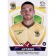 Vitorino Antunes Paços de Ferreira 217
