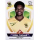 Nigel Thomas Paços de Ferreira 223
