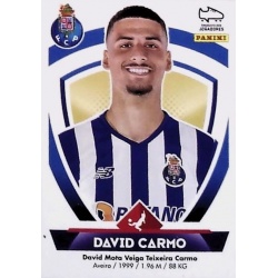 David Carmo Porto 253