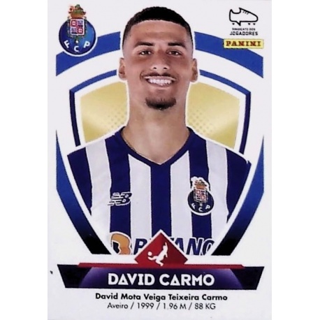 David Carmo Porto 253