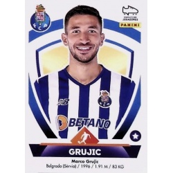 Marko Grujić Porto 256