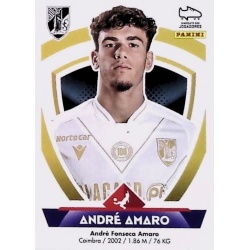 André Amaro V. Guimarães 328