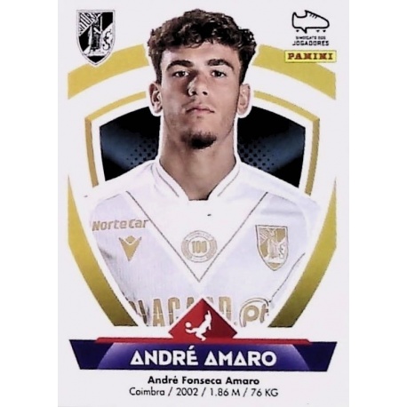 André Amaro V. Guimarães 328