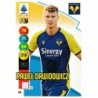 Comprar Trading Card Paweł Dawidowicz Hellas Verona Adrenalyn XL Calciatori 21/22