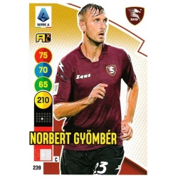 Norbert Gyömbér Salemitana 239