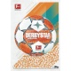 Offizieller Spielball Taktik & Puzzle P3