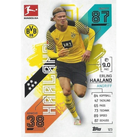 Erling Haaland Borussia Dortmund 123