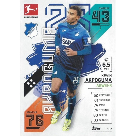 Kevin Akpoguma Tsg Hoffenheim 187