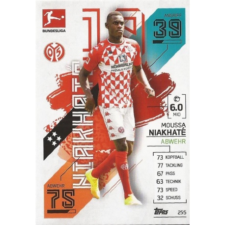 Moussa Niakhaté 1. Fsv Mainz 05 255