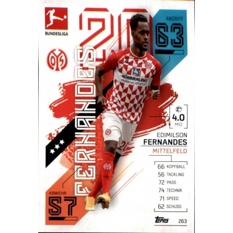 Edimilson Fernandes 1. Fsv Mainz 05 263