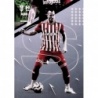 Comprar Cromo Abajo a la Derecha  Capitanes Kings League Trading Cards