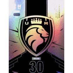 Ultimate Móstoles Maestro Equipo 2