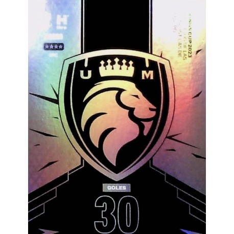 Ultimate Móstoles Maestro Equipo 2