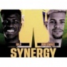 Compra Online Vini Jr - Guimarães Synergy Parte 1 Brasil Panini World Class 2024