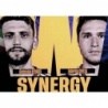 Venta Cromo Berardi - Chiesa Synergy Parte 2 Italia Panini FIFA World Class 2024