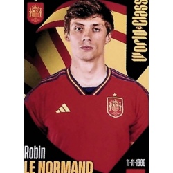 Robin le Normand Spain 311