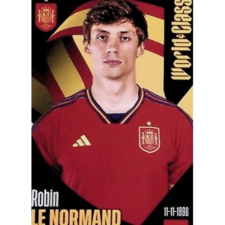 Robin le Normand Spain 311