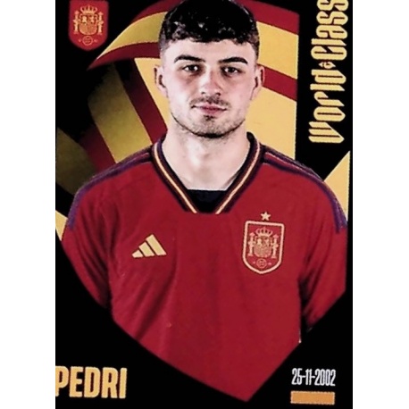Pedri Spain 317