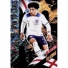 Cromos de Fútbol Rico Lewis Dreaming of the FIFA World Cup Panini World Class 2024