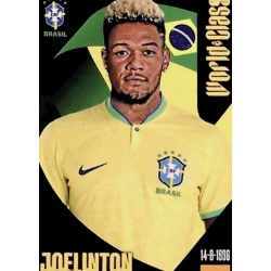 Joelinton Brazil 45