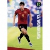 Sale Cards Robin Le Normand Spain Album Top Class 2024
