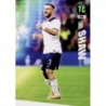 Comprar Trading Card Luke Shaw England Top Class Cards 2024