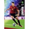 Venta Trading Card Rodri Spain Album Top Class 2024