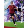 Offer Soccer Cards Mikel Oyarzabal Spain Panini Top Class 2024