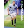 Buy Cards Erling Haaland Manchester City Album Top Class 2024