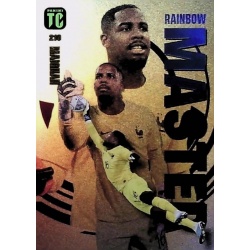 Mike Maignan Rainbow Master France 210