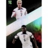 Comprar Trading Card Reyna / Musah Magic Mix Top Class Cards 2024