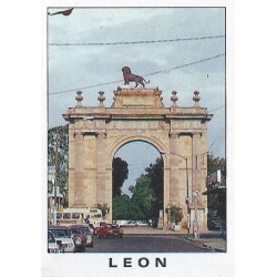 Leon 24