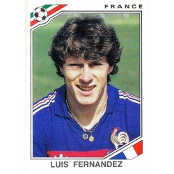 Luis Fernandez France 172